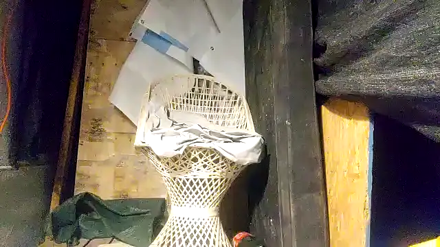 ed44435 online show from December 2025 05:36:02 AM