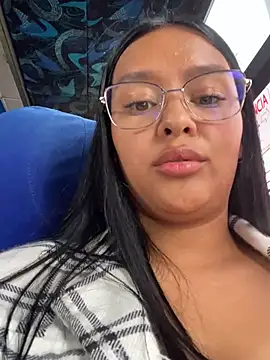 Snapshot of _NINA chatting on December 2024 04:47:02 PM NINA online show from December 2024 04:47:02 PM