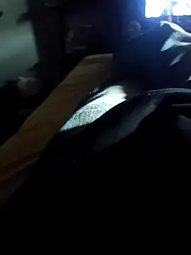 danilogarcia33 online show from April 2026 04:05:01 PM