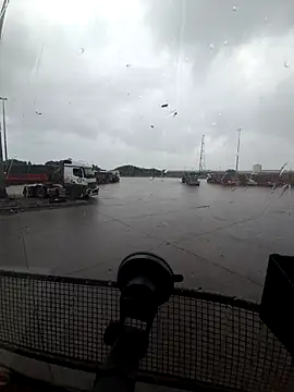 bull Giant online show from November 2025 03:58:01 PM