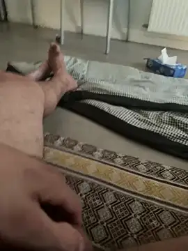 peregrinxp online show from July 2026 06:54:01 PM