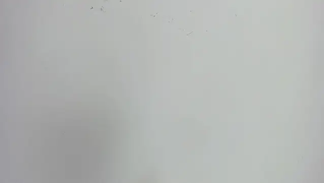 Snapshot of missexy303av chatting on September 2025 08:56:02 PM missexy303av online show from September 2025 08:56:02 PM