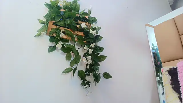 mss samy online show from January 2026 03:11:02 AM