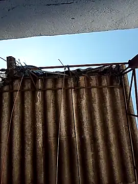 Snapshot of Percybr4561 chatting on October 2025 01:29:01 PM Percybr4561 online show from October 2025 01:29:01 PM