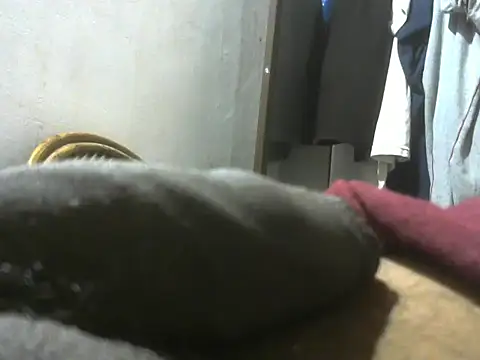 Snapshot of dickrus0077 chatting on October 2025 02:20:01 AM dickrus0077 online show from October 2025 02:20:01 AM