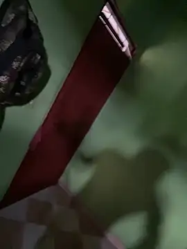 Snapshot of Alphadavid_23 chatting on February 2025 07:16:01 PM Alphadavid 23 online show from February 2025 07:16:01 PM