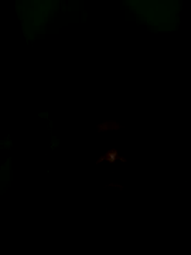 Long Laster online show from February 2026 06:03:01 PM