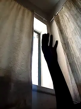 Cocowett online show from October 2025 12:26:02 PM