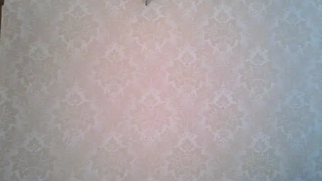 Snapshot of Kashtanka_ chatting on November 2025 08:57:02 AM Kashtanka online show from November 2025 08:57:02 AM