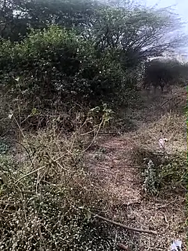 Snapshot of Abinash7732 chatting on February 2026 03:05:02 AM Abinash7732 online show from February 2026 03:05:02 AM