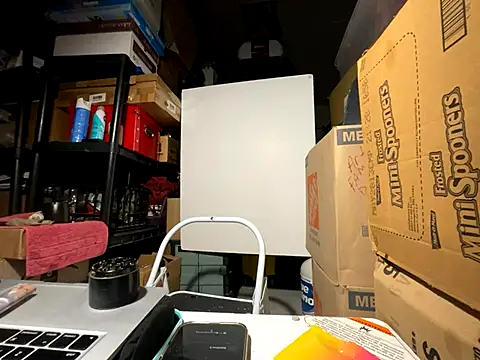 wynterheat online show from December 2025 08:04:02 PM