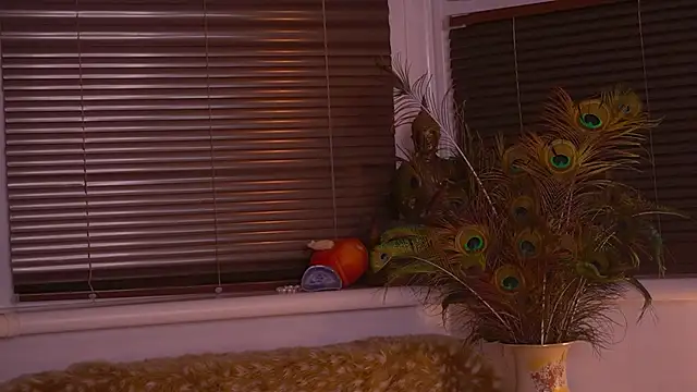 divinelights online show from November 2025 05:02:02 PM