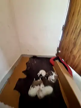 Snapshot of inba99tamil chatting on September 2025 06:37:02 AM inba99tamil online show from September 2025 06:37:02 AM