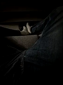 Snapshot of Bretoncool chatting on March 2025 11:14:02 PM Bretoncool online show from March 2025 11:14:02 PM