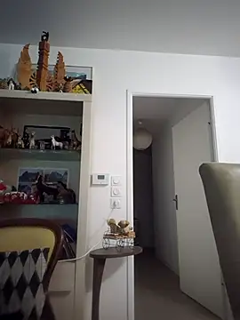 Snapshot of Bretoncool chatting on September 2025 06:15:01 AM Bretoncool online show from September 2025 06:15:01 AM