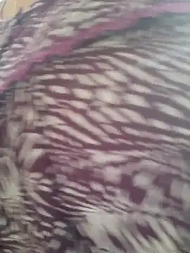 samitasharma online show from November 2025 04:00:01 AM