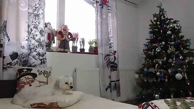 SweetMaddy888 online show from December 2024 07:10:01 AM