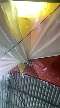 Cesywet online show from February 2025 08:33:02 AM