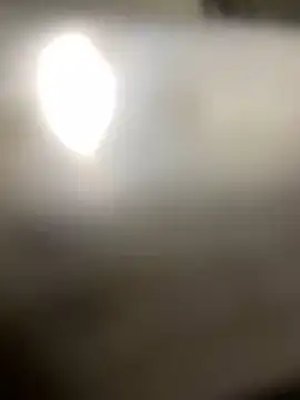 Cesywet online show from February 2025 09:44:02 AM