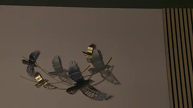 AngeliqueSkye online show from October 2025 03:17:01 AM