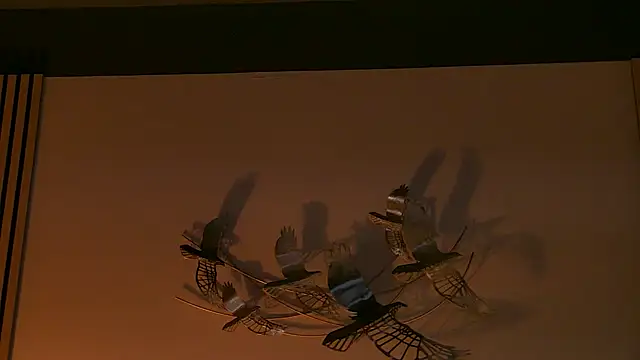 AngeliqueSkye online show from October 2025 03:10:02 AM