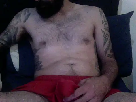 gaita2 online show from February 2026 03:04:01 PM