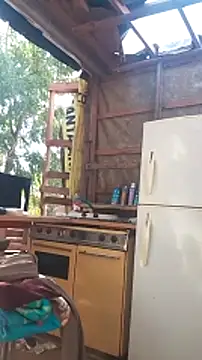 hoy toyboy online show from January 2025 06:23:01 PM