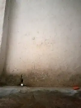 Snapshot of Hotty-queen chatting on October 2025 02:11:02 AM Hotty-queen online show from October 2025 02:11:02 AM