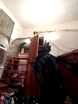 Snapshot of SINUECASTILLO chatting on December 2024 07:41:01 AM SINUECASTILLO online show from December 2024 07:41:01 AM