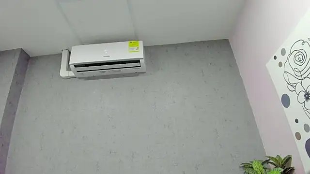 Tiffany mendez online show from November 2025 12:04:01 PM