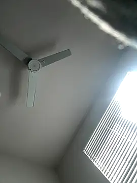 PointingPetrol online show from January 2026 06:55:02 PM