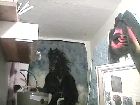 Snapshot of lilbishmiss chatting on February 2025 10:12:02 AM lilbishmiss online show from February 2025 10:12:02 AM