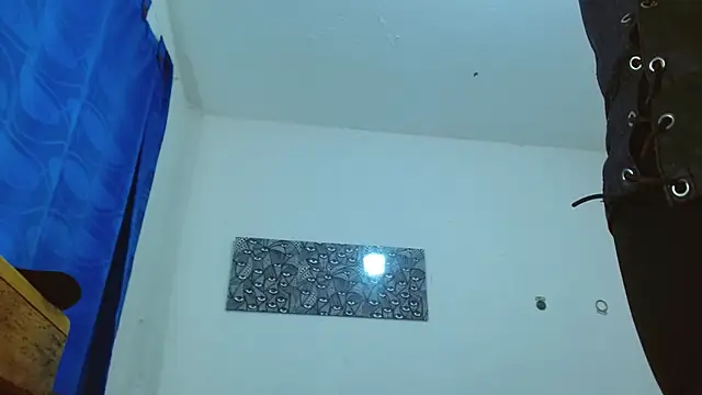 targuerian22 online show from December 2024 06:28:01 AM