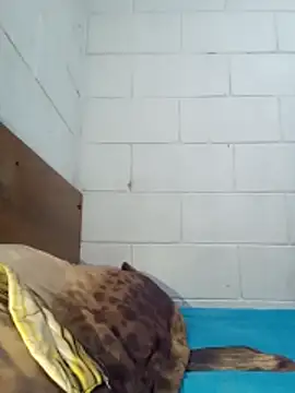 Gaby503 online show from December 2024 07:05:01 AM