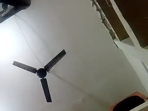 annaya sweet online show from February 2025 08:31:02 AM