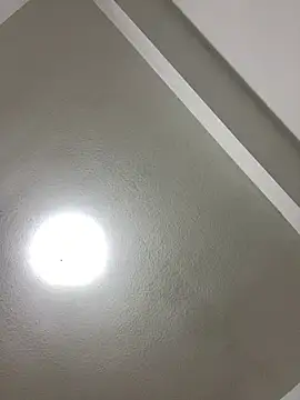 islandvybee55 online show from January 2025 08:00:01 AM