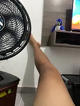 Snapshot of D4ivid chatting on February 2026 04:52:01 AM D4ivid online show from February 2026 04:52:01 AM