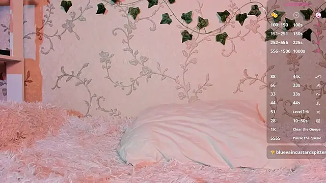 Ann Sweer online show from January 2025 12:09:01 PM