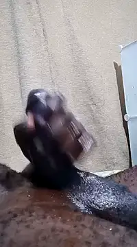 Snapshot of Dick_undisputed chatting on January 2025 12:19:02 AM Dick undisputed online show from January 2025 12:19:02 AM