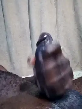 Snapshot of Dick_undisputed chatting on January 2025 08:13:02 AM Dick undisputed online show from January 2025 08:13:02 AM