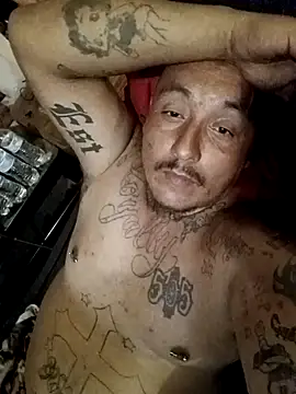 wilsons12 online show from September 2025 07:23:01 AM