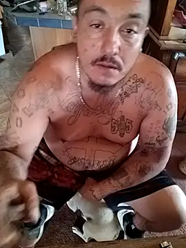 wilsons12 online show from October 2025 09:02:01 PM