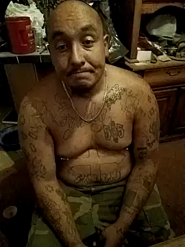 wilsons12 online show from October 2025 07:09:02 AM