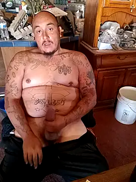 wilsons12 online show from November 2025 06:50:01 PM