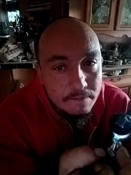 wilsons12 online show from November 2025 06:29:01 PM