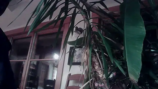 KittingGrappler online show from November 2025 10:48:02 PM