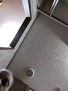 spunfunbun online show from December 2024 04:47:01 PM