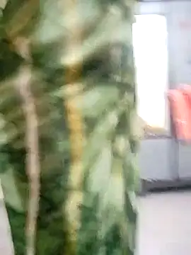 Snapshot of PayalSharmahot143 chatting on March 2025 01:20:02 PM PayalSharmahot143 online show from March 2025 01:20:02 PM