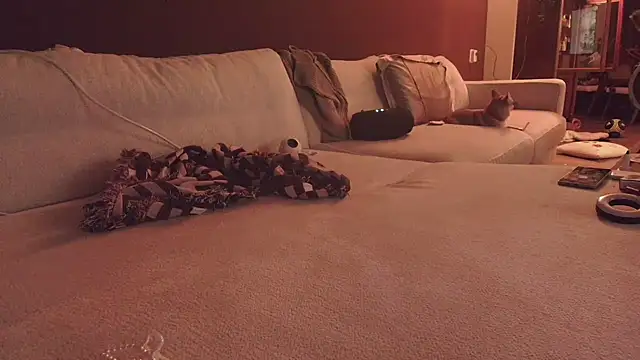 Snapshot of Nina24 chatting on October 2025 06:42:02 PM Nina24 online show from October 2025 06:42:02 PM