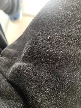 huzi518 online show from November 2025 03:30:02 AM